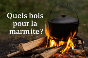 Lire la suite à propos de l’article Le bras de levier du changement : ce qui fait vraiment bouger les lignes